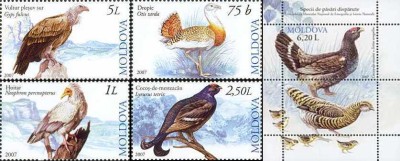 MOLDOVA 2007, Fauna - Pasari,, serie neuzată, MNH foto