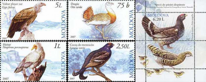 MOLDOVA 2007, Fauna - Pasari,, serie neuzată, MNH