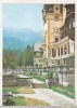 Bnk cp Sinaia - Terasa castelul Peles - necirculata, Printata
