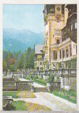 Bnk cp Sinaia - Terasa castelul Peles - necirculata, Printata