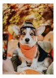 Tablou Canvas, "C&acirc;inele elegant &icirc;n ținuta de toamnă", C&acirc;ine, Corgi, Pălărie, Eșarfă, Portocaliu, Lumini, Dovleci, Frunze, Toamnă, Sclipire, Privire, N