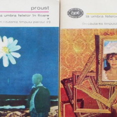 La umbra fetelor in floare (2 volume). In cautarea timpului pierdut - Marcel Proust (putin patata)
