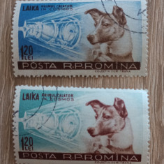 ROMANIA 1957, LP 447 Cățelușa Laika primul călător în cosmos stampilat