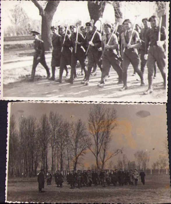 HST P330 Lot 2 poze premilitari rom&acirc;ni perioada regalității