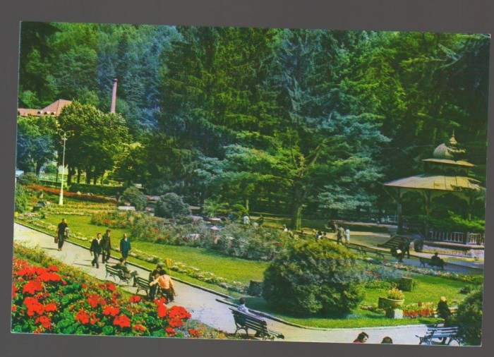 CPIB 18960 CARTE POSTALA - SLANIC MOLDOVA. VEDERE DIN PARC