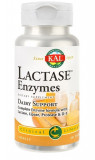 Lactase enzymes 30cps vegetale, Secom
