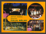 CPIB 19191 CARTE POSTALA - NEPTUN. RESTAURANT &quot;CALUL BALAN&quot;, MOZAIC