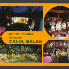 CPIB 19191 CARTE POSTALA - NEPTUN. RESTAURANT "CALUL BALAN", MOZAIC