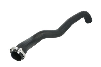 Furtun radiator DACIA LOGAN (LS) (2004 - 2016) THERMOTEC DWR108TT foto