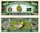 !!! SUA = FANTASY NOTE (TJ6) = OREGON , WESTWRN MEADOWLARK - 2023 - UNC
