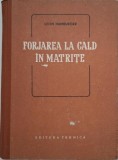 Forjare la cald in matrite - Leon Hamburger