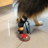 Walkinpets - Papuc pentru dispozitivul de corecție a pasului -