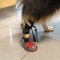 Walkinpets - Papuc pentru dispozitivul de corecție a pasului -