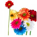 Buchet 15 Tije Flori Artificiale Gerbera 55cm Diverse Culori Wei A07449 DNC44481