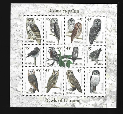 ukraina pasari mnh foto