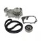 Kit distributie + pompa apa Dacia Logan, Logan Express, Logan Mcv, Logan Pick-Up, Sandero; Renault Clio II, Clio Symbol I, Kangoo Motor 1.4, dinti