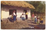 276 - ETHNICS, Country Life, Romania - old postcard - unused