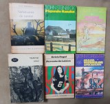 6x LITERATURĂ AMERICANĂ: Hemingway, Faulkner, Erich Segal, Steinbeck, J. Cheever