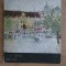 ALBUM ION SIMA (TEXT DE MIRCEA TOCA)