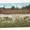 RF19 -Carte Postala- Borsec, circulata 1968