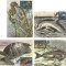 |Romania, LP 1755/2007, Fauna din Marea Neagra, maxime