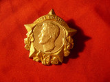 Insigna veche Iulius Fucik -Erou antifascist al Cehoslovaciei ,h=4cm metal aurit