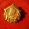 Insigna veche Iulius Fucik -Erou antifascist al Cehoslovaciei ,h=4cm metal aurit