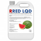 Fertilizant special pentru pepeni galbeni si rosii RRED LQD 10 l