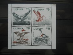 BLOC LITUANIA PASARI foto