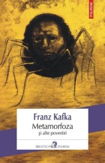 Metamorfoza si alte povestiri - Franz Kafka - Polirom