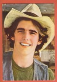 AS - C.P. MATT DILLON - COLECȚIA CASA FILMULUI, NECIRCULATĂ (STAREA CARE SE VEDE)