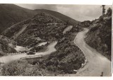 CPIB 22765 - CARTE POSTALA - SERPENTINE IN VALEA SADULUI CABANA GATUL BERBECULUI, Circulata, Fotografie