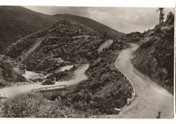 CPIB 22765 - CARTE POSTALA - SERPENTINE IN VALEA SADULUI CABANA GATUL BERBECULUI