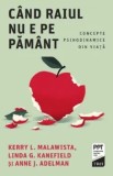 Cumpara ieftin Cand Raiul nu e pe Pamant. Concepte psihodinamice din viata/Kerry L. Malawista, Linda G. Kanefield, Anne J. Adelman