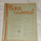 REVISTA FARUL CAMINULUI Anul II - Nr.10, MARTIE 1935