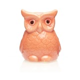 Cumpara ieftin Vas aromaterapie Ceramica - Bufnita AR11