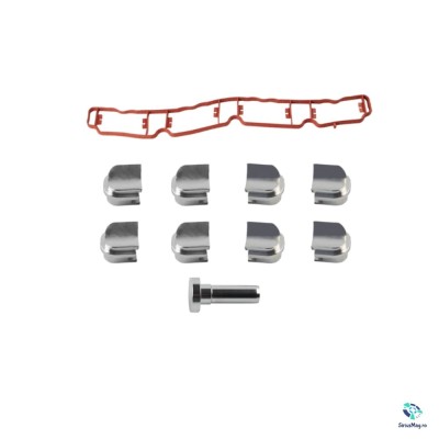 Dopuri Anulare Clapete Admisie pentru Audi Volkswagen Skoda Seat foto