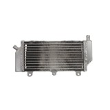 Radiator stanga Yamaha WRF YZF 450 16- 18 RAD-145L