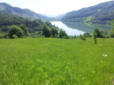 Teren intravilan extraordonar la lac, deschidere 500 m la lac, total 73000 mp! Unic!