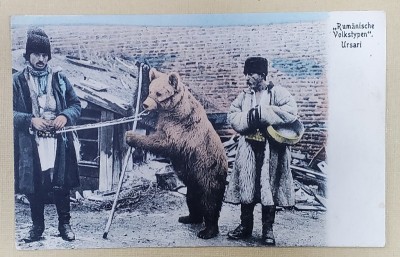 URSARI : DOI TIGANI CU URSUL IN LANT , CARTE POSTALA ILUSTRATA , 1917, EXPEDIATA DIN SPITAL DE CAMPANIE foto