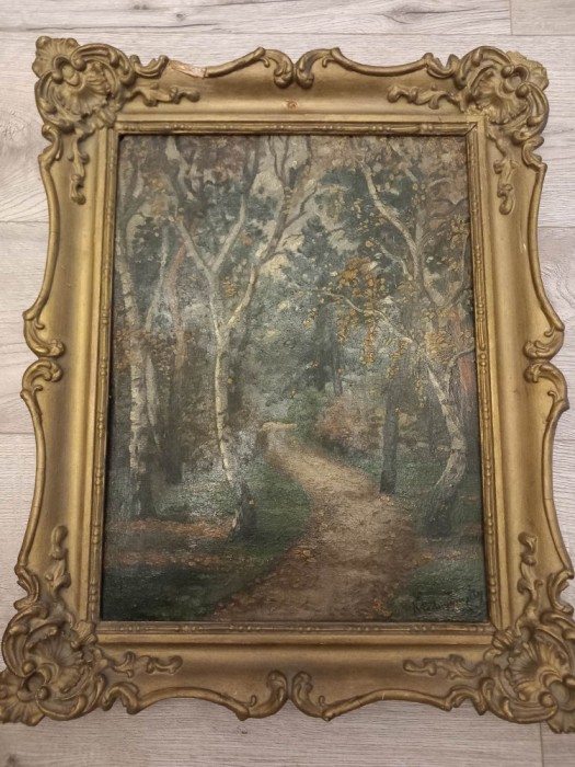 Tablou Laszlo Mednyanszky nu trimit ramburs