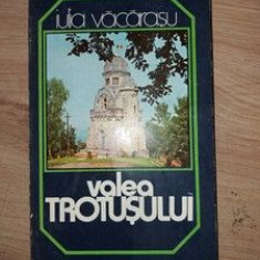 Valea Trotusului- Iulia Vacarasu