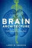Brain Architecture: Understanding the Basic Plan