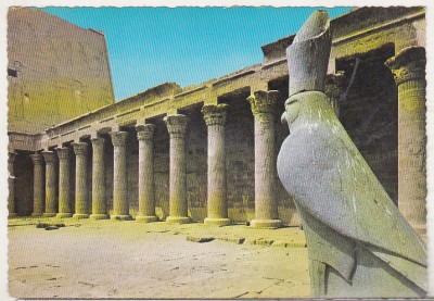 bnk cp Egipt - Edfu - Templul lui Horus - Kruger 748/5 - necirculata foto