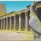 bnk cp Egipt - Edfu - Templul lui Horus - Kruger 748/5 - necirculata