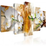 Cumpara ieftin Tablou - Brown Paint and Orchid 200x100 cm