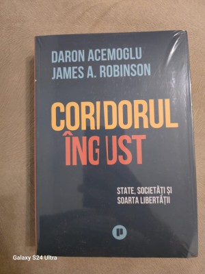 Coridorul &amp;icirc;ngust ~ State, societăți și soarta libertății - Daron Acemoglu, James A. Robinson foto