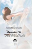 Duminici in desprindere - Romita Malina Constantin