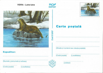 Romania, Vidra, carte postala necirculata foto