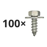 Set 100 holsurub Audi A3, A4, A6, A8, BMW Seria 3, Seria 5, Seria 6, Seria 7, Seria 8, Z3, Ford Fiesta, Focus, Mondeo, Transit, Opel Frontera, Vectra